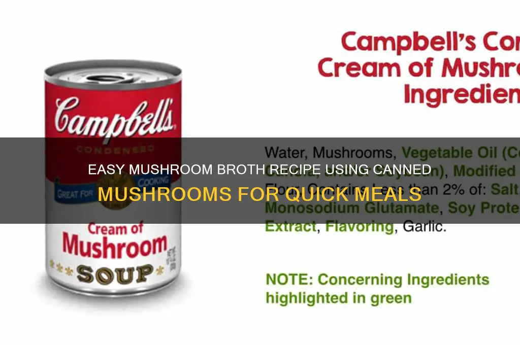 how to make mushroom broth from canned mushrooms