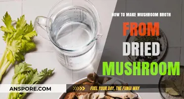 Rich Mushroom Broth: Simple Recipe Using Dried Mushrooms