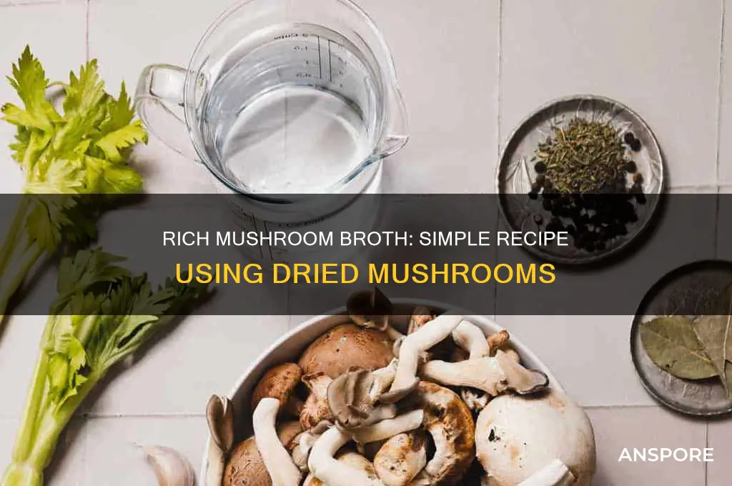 how to make mushroom broth from dried mushrooms