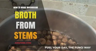 Transform Mushroom Stems into Rich, Flavorful Broth: A Simple Guide