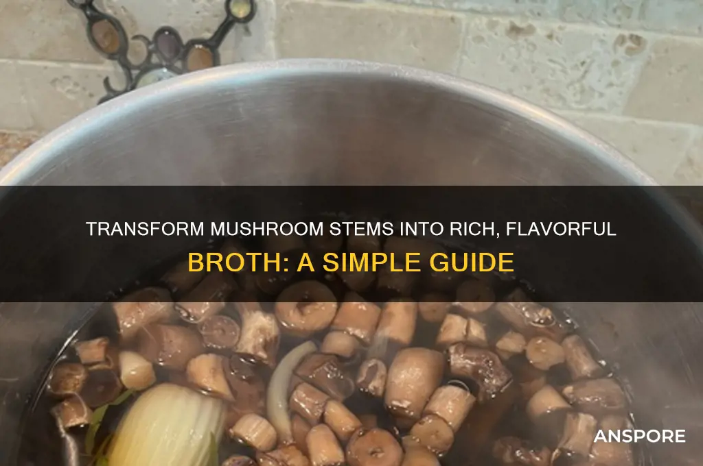 how to make mushroom broth from stems