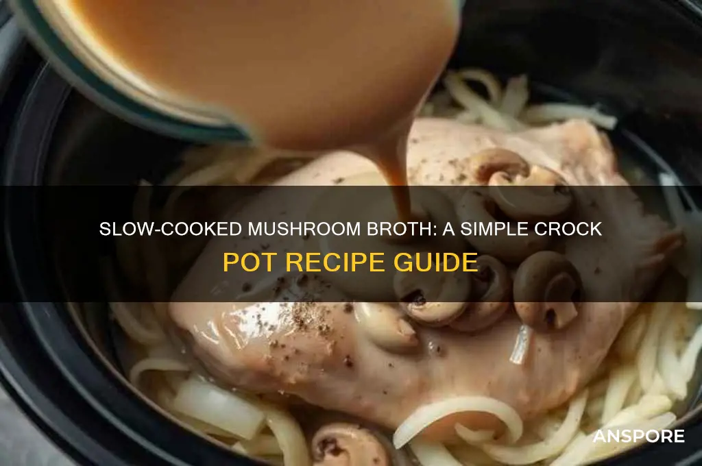 how to make mushroom broth in a crock pot