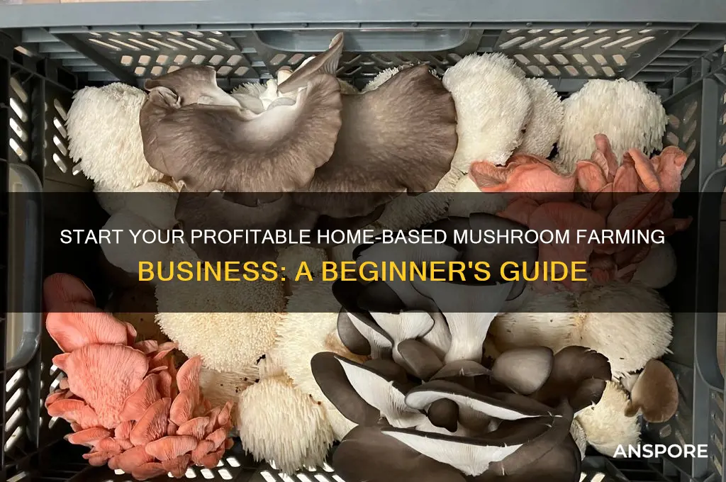 how to make mushroom business at home