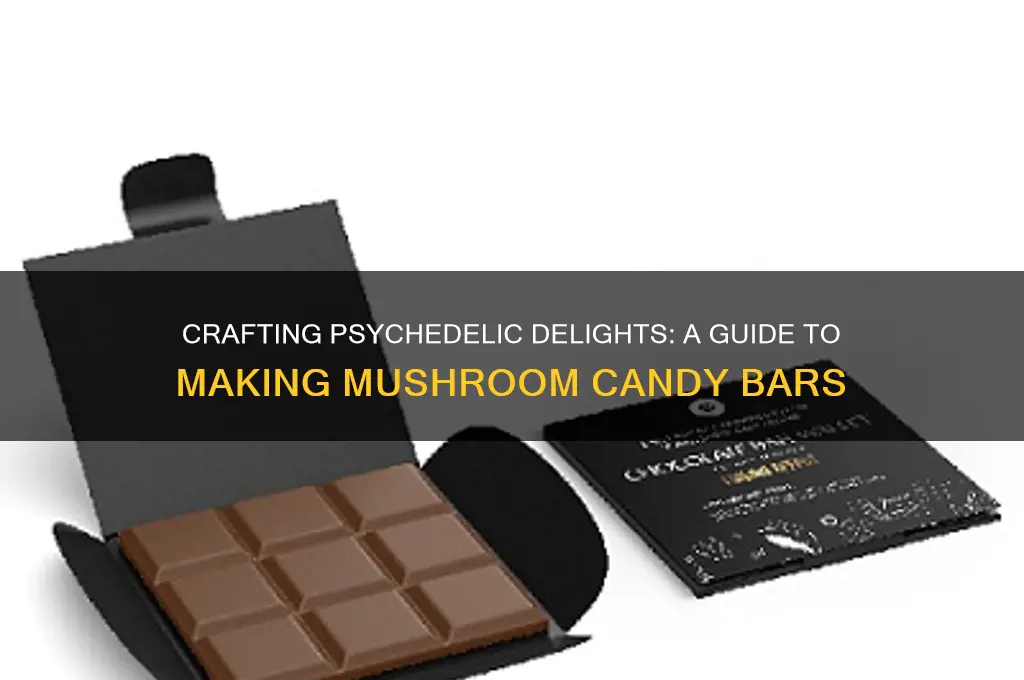 how to make mushroom candy bars