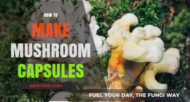 Crafting Mushroom Capsules: A Step-by-Step DIY Guide for Beginners