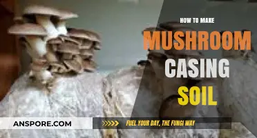 Mastering Mushroom Casing Soil: A Step-by-Step DIY Guide