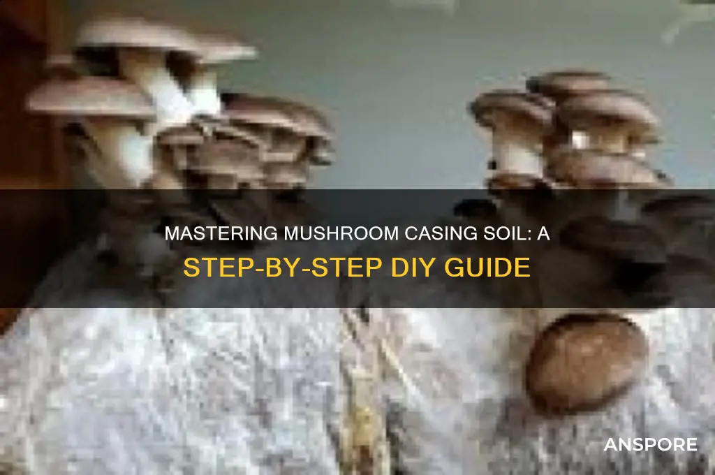 how to make mushroom casing soil