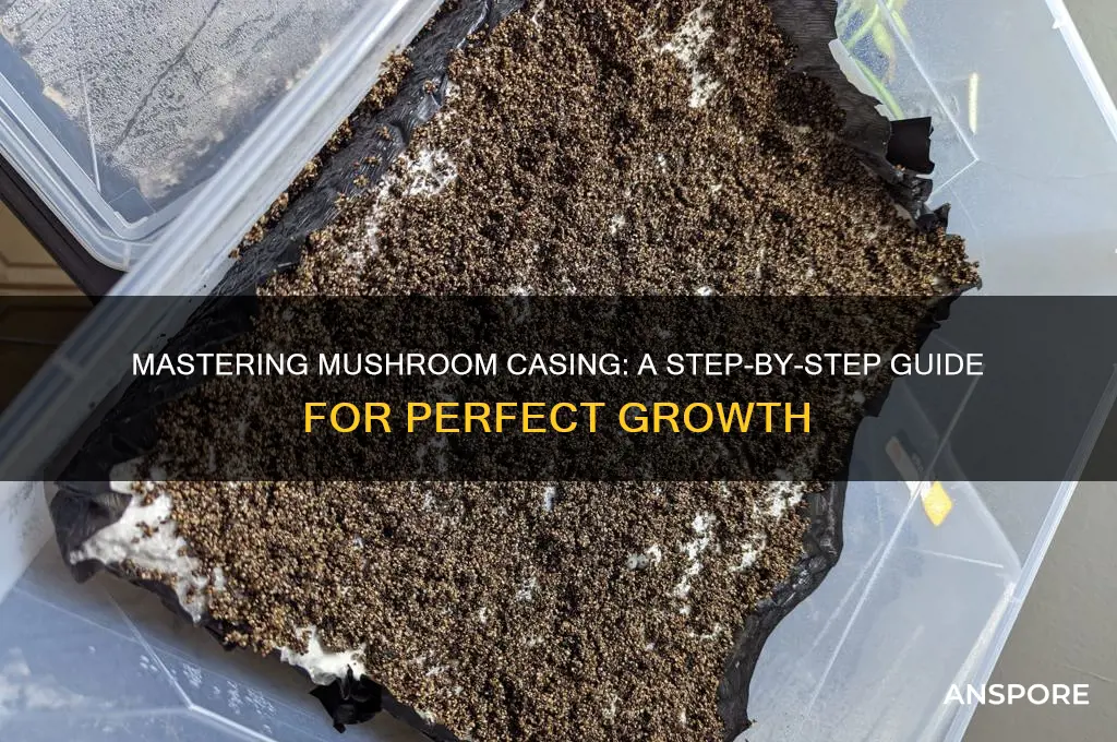 how to make mushroom casing