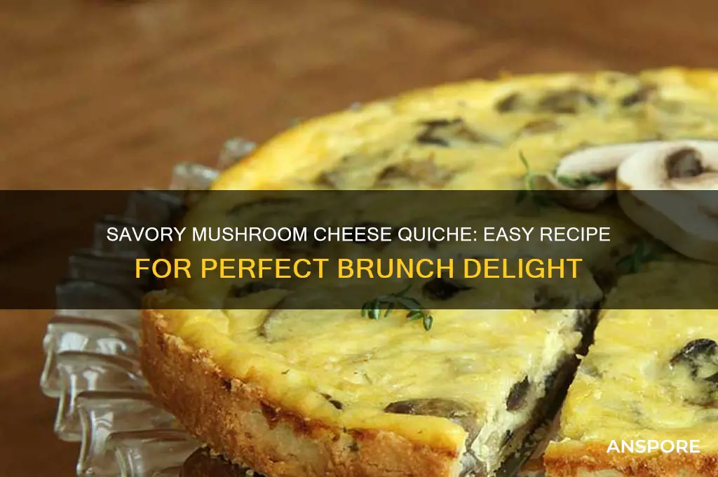 how to make mushroom cheese quiche