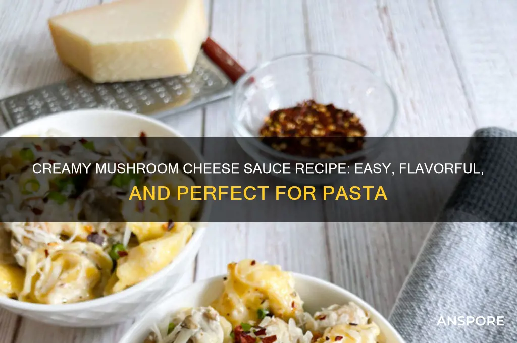 how to make mushroom cheese sauce