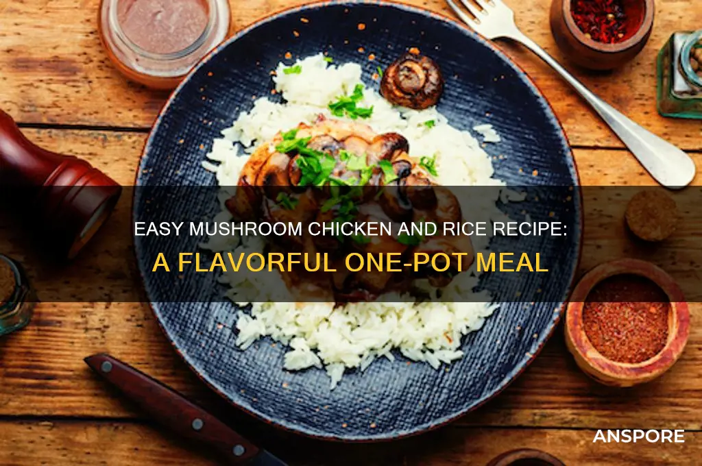how to make mushroom chicken and rice
