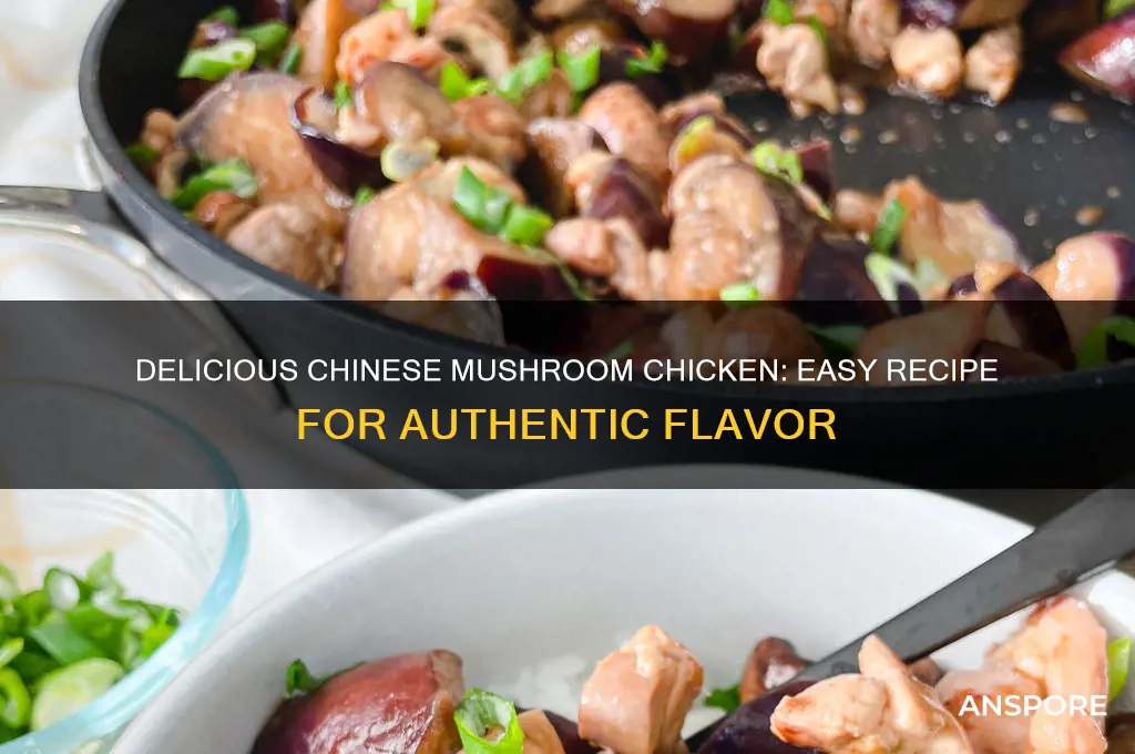 how to make mushroom chicken chinese