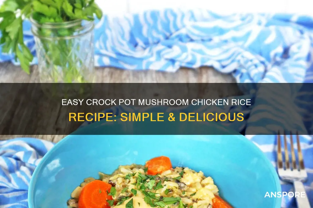 how to make mushroom chicken rice in a crock pot