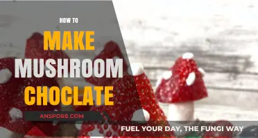 Crafting Psychedelic Delights: A Guide to Making Mushroom Chocolate