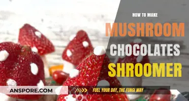 Crafting Mushroom Chocolates: A Shroomery Guide to Delicious Infusions