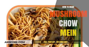 Easy Mushroom Chow Mein Recipe: Quick, Flavorful, and Veggie-Packed Delight