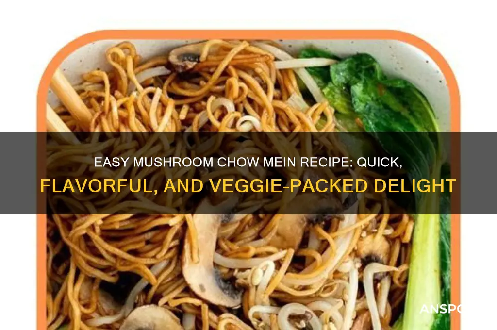 how to make mushroom chow mein
