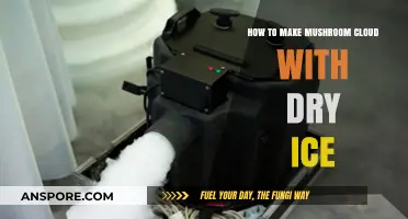 Creating a Mushroom Cloud Effect Using Dry Ice: A Step-by-Step Guide