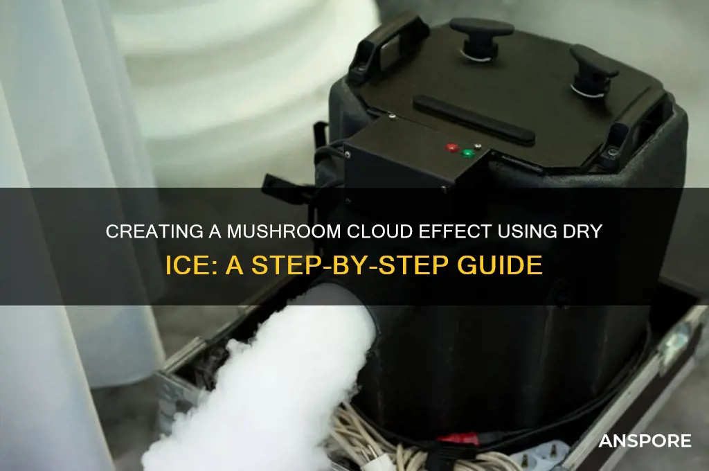 how to make mushroom cloud with dry ice