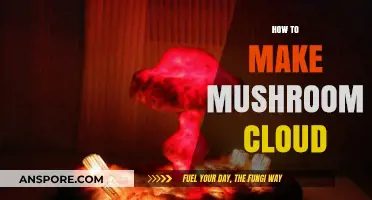 Creating a Mushroom Cloud: A Step-by-Step Visual Guide