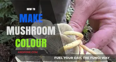 Creating Mushroom Hues: A Step-by-Step Guide to Natural Dyeing Techniques