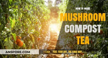 Brewing Nutrient-Rich Mushroom Compost Tea: A Simple DIY Guide