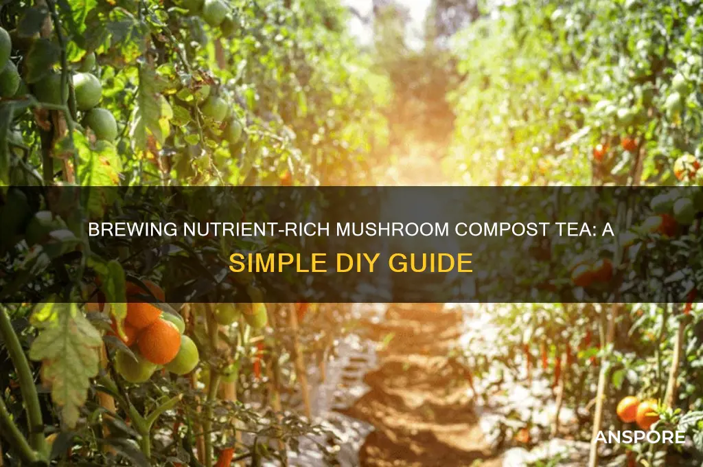 how to make mushroom compost tea