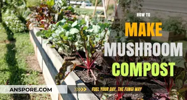 Mastering Mushroom Compost: A Step-by-Step Guide to Nutrient-Rich Soil