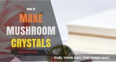 Crafting Mushroom Crystals: A Step-by-Step Guide to DIY Magic