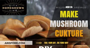 Mastering Mushroom Cultivation: A Step-by-Step Guide to Growing Your Own