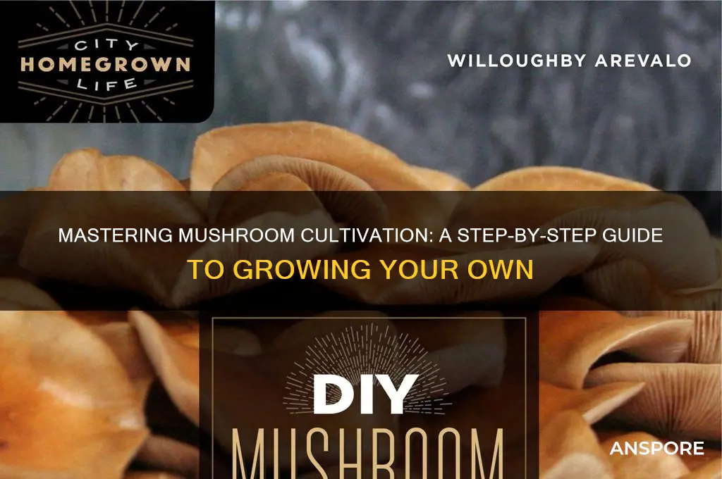 how to make mushroom cukture