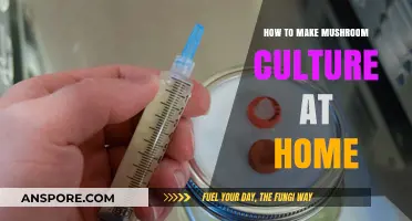 Easy DIY Mushroom Culture: Grow Your Own Fungi at Home