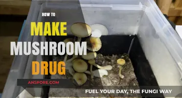 Crafting Psilocybin Mushrooms: A Comprehensive Guide to Cultivation and Extraction