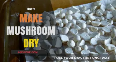 Easy Steps to Perfectly Dehydrate Mushrooms for Long-Term Storage