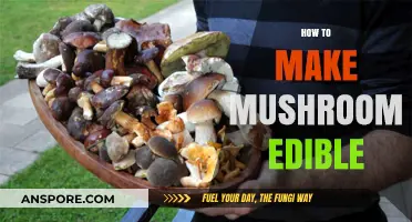 Transforming Wild Mushrooms: A Safe Guide to Making Them Edible