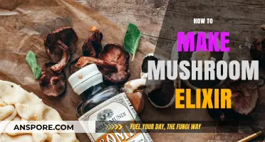 Crafting Mushroom Elixir: Simple Steps for a Nutritious, Earthy Boost