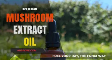 Crafting Mushroom Extract Oil: A Simple DIY Wellness Guide