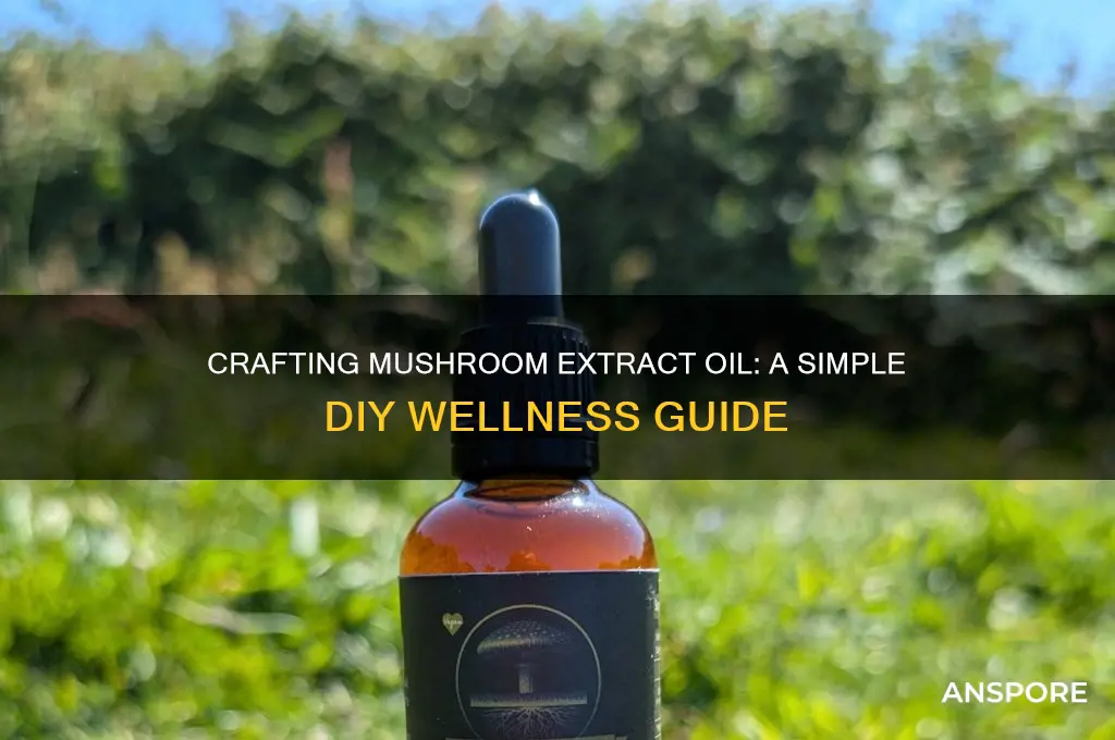how to make mushroom extract oil