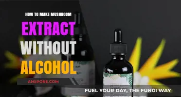 Crafting Alcohol-Free Mushroom Extract: Simple, Healthy, and Effective Method