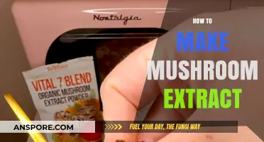 Mastering Mushroom Extract: Simple Steps for Nutrient-Rich Homemade Elixir