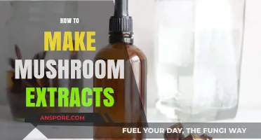 Mastering Mushroom Extracts: Simple Steps for Potent Homemade Remedies