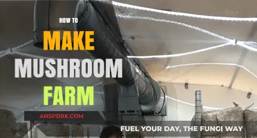 Mastering Mushroom Farming: A Step-by-Step Guide to Growing Your Own