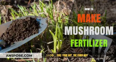 Eco-Friendly Gardening: Crafting Mushroom Fertilizer for Healthy Plants
