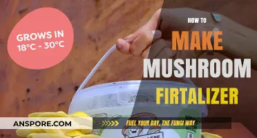 Boost Your Garden: DIY Mushroom Fertilizer Guide for Healthy Plants