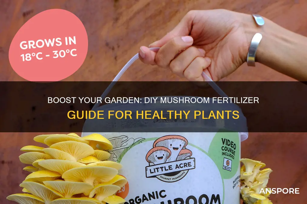 how to make mushroom firtalizer