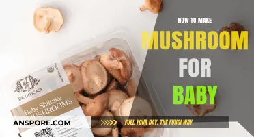 Safe and Nutritious Mushroom Preparation Guide for Your Baby's Meals