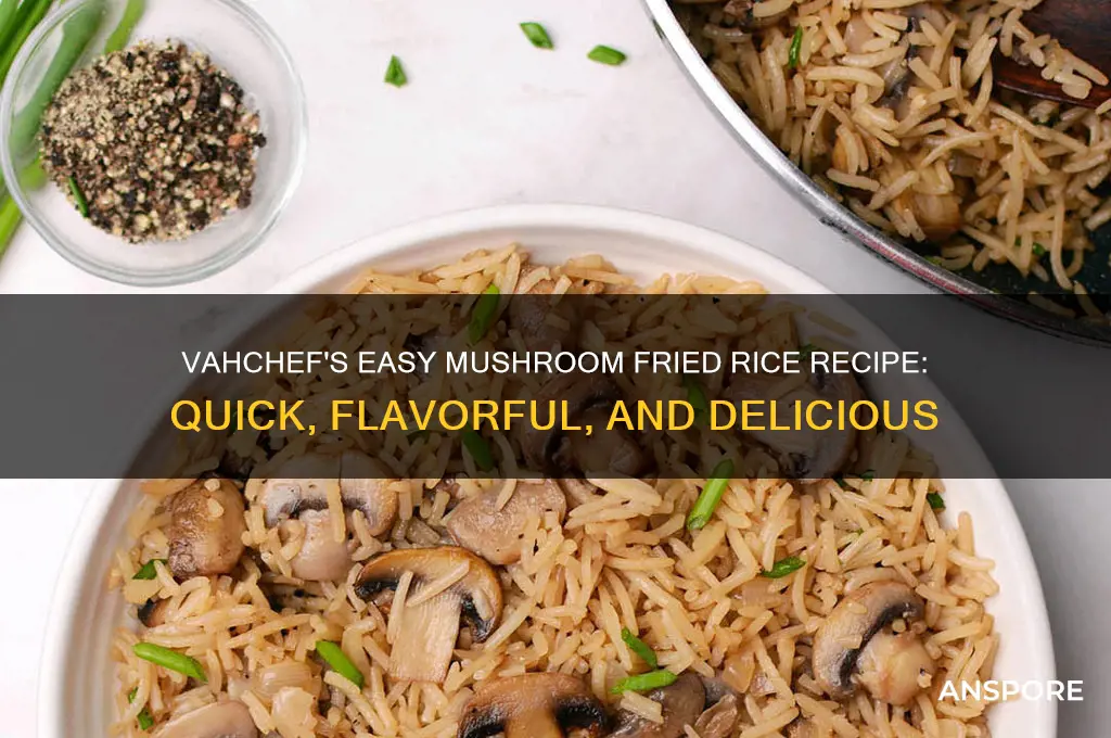 how to make mushroom fried rice by vahchef