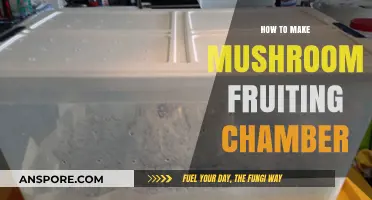 DIY Mushroom Fruiting Chamber: A Step-by-Step Guide to Success
