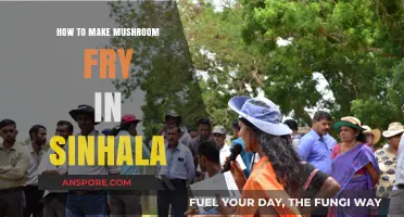 තරමක් රසවත් සහ හරිම ලේසි මෂ්රුම් බයි කරන හැටි