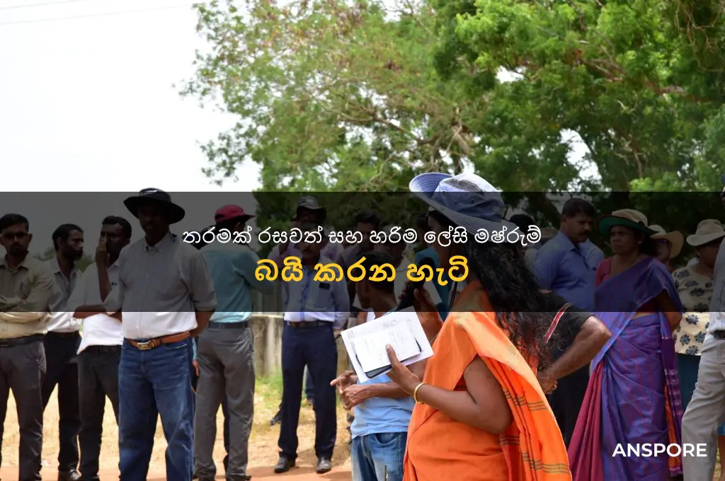 how to make mushroom fry in sinhala